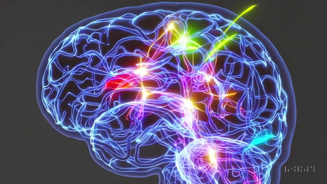 An illustration of a human brain lit up with colourful neural connections firing
